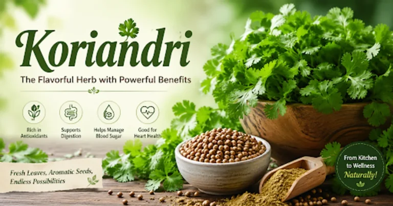 Koriandri